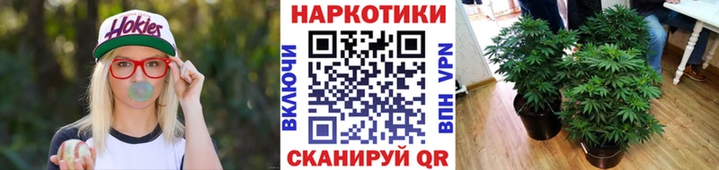 Где продают наркотики Сортавала Амфетамин  БУТИРАТ  Кокаин  Alpha PVP  ГАШИШ 