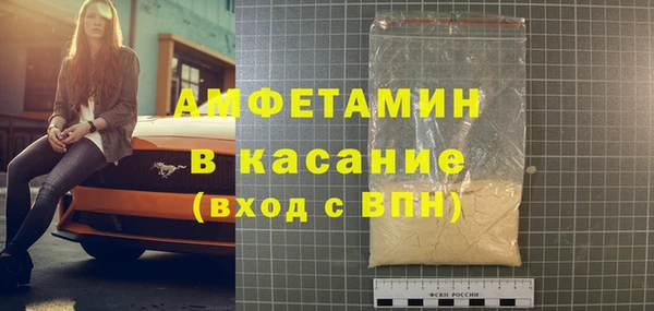 PSILOCYBIN Алзамай