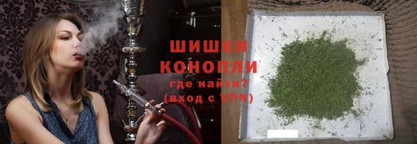 PSILOCYBIN Алзамай